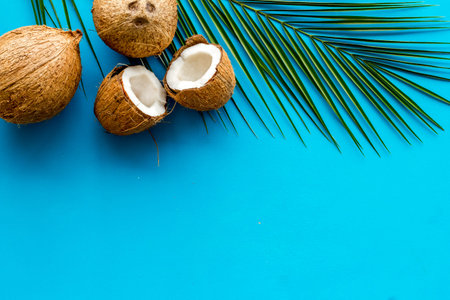 Exotic background with coconuts and palm leaves on blue background top-down.