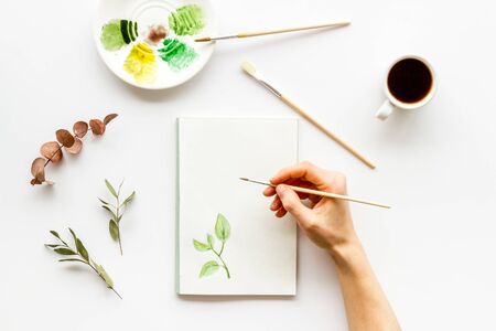 Painting. Female hands draw herbs on white background top-downの写真素材