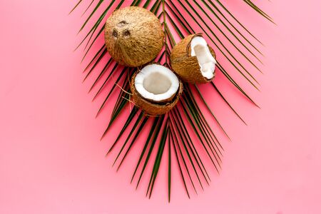 Exotic background with coconuts and palm leaves on pink background top-down frame copy spaceの写真素材