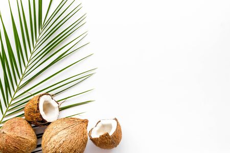 Exotic background with coconuts and palm leaves on white background top-down.の写真素材