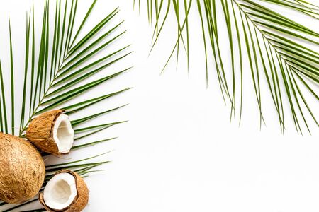 Exotic background with coconuts and palm leaves on white background top-down.