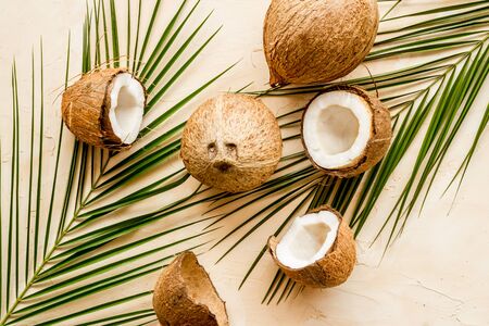Coconuts and leaves - tropical still life on beige background top-downの写真素材