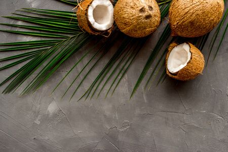 Coconuts and leaves - tropical still life on grey background top-down copy spaceの写真素材