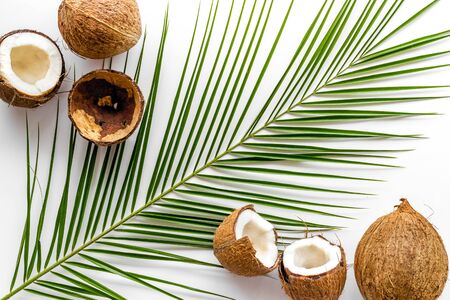 Coconuts and leaves - tropical still life on white background top-downの写真素材