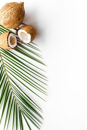 Coconuts and leaves - tropical still life on white background top-down copy spaceの写真素材