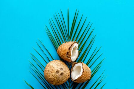 Exotic background with coconuts and palm leaves on blue background top-down.の写真素材