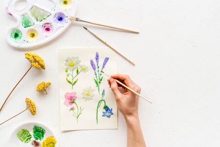 Painting. Female hands draw flowers on white background top-down.の写真素材