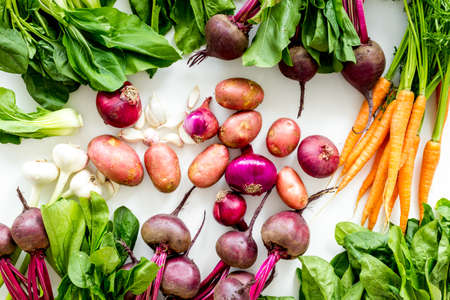 Harvest of vegetables. Home gardening. Top viewの写真素材