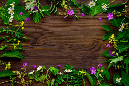 Fresh medicinal herbs and wild flowers top view