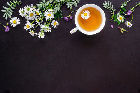 Herbal tea with chamomile flowers, top view copy spaceの写真素材