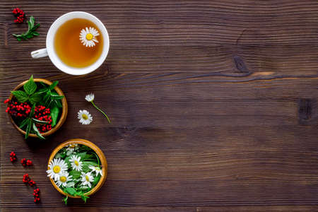 Top view of herbal tea in cup with herbs in bowls, top viewの写真素材