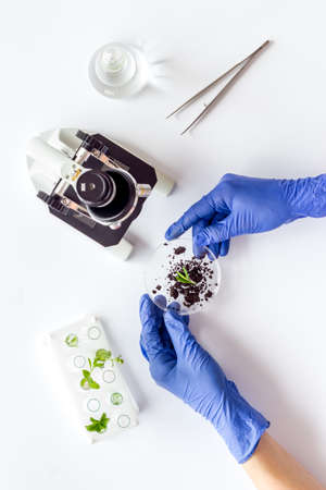 Scientist doing research with plants and microscope in laboratory, above viewの写真素材