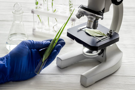 Scientist tests plants with microscope in laboratory. Close up