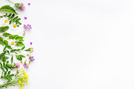 Wild fresh herbs and flowers for tea or medicine