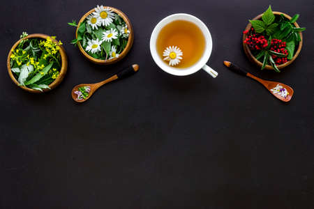 Cup of herbal tea with wild herbs and wild flowersの写真素材