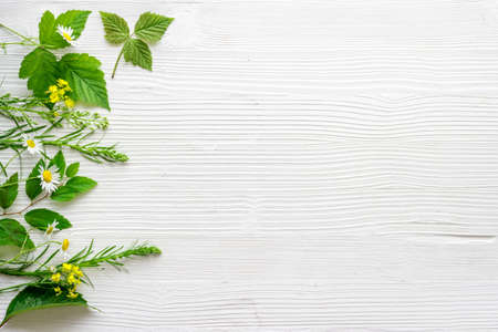 Fresh medicinal herbs and wild flowers top viewの写真素材