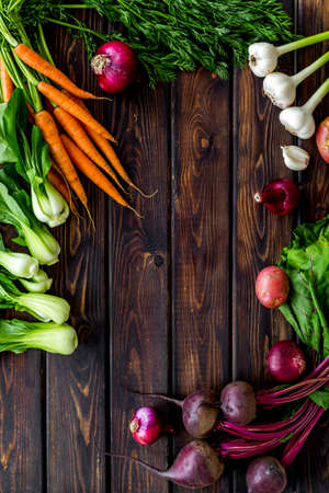 Set of vegetables. Carrot and beet with tops, potato, garlic top view copy spaceの写真素材