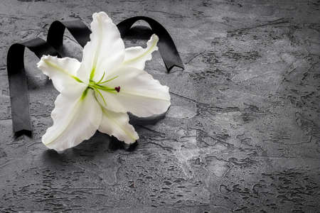 Lily funeral flower on dark stone. Condolence card with copy spaceの写真素材