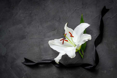 Funeral concept with lily and black ribbon, space for textの写真素材