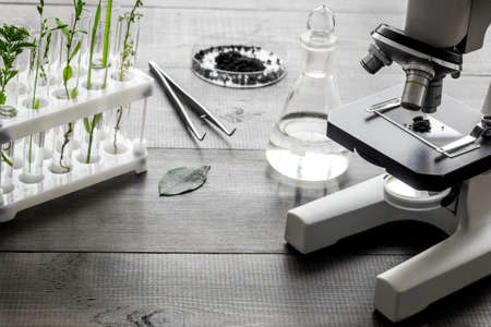 Biologist researching plants with microscope in biological chemistry labの写真素材