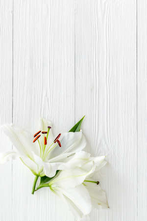 Condolence card with white flowers lily, from aboveの写真素材