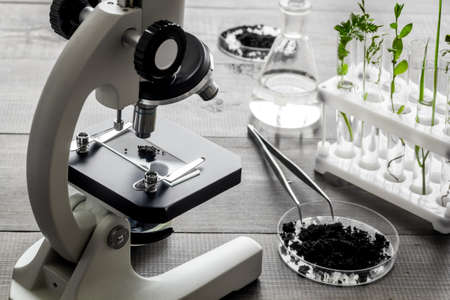 Biotechnology laboratory with plants and microscope on table.の写真素材