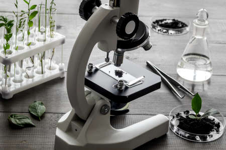 Biotechnology laboratory with plants and microscope on table.