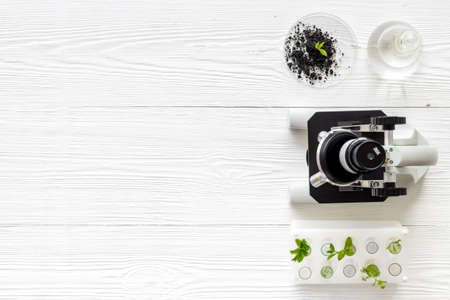 Test floral samples with microscope in biological labの写真素材