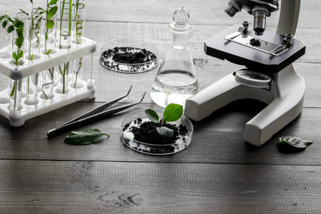 Microscope and plants on a table in scientific laboratory. Agriculture concept