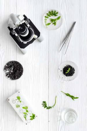 Scientific research plants and soil in microbiology laboratory with microscope.の写真素材