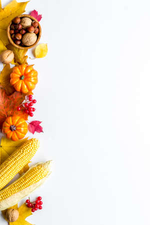 Autumn top view background with pumpkins corn and nutsの写真素材