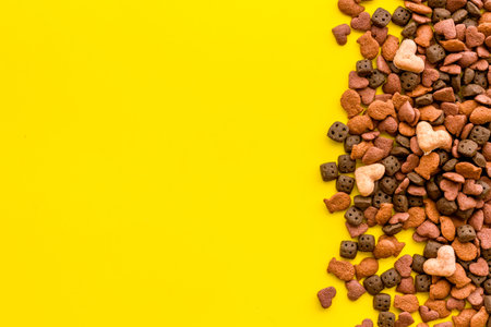 Top view of dried cat food and treats. Flat lay of food for petsの写真素材