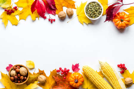 Autumn background with pumpkins, leaves and corn, top viewの写真素材