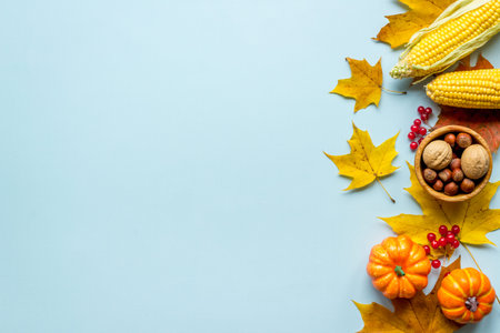 Harvest or Thanksgiving concept, top view, copy space