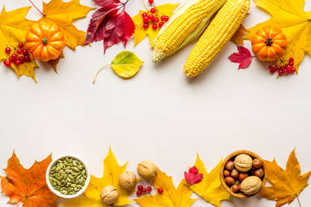 Autumn or Thanksgiving frame with leaves and pumpkins, top viewの写真素材