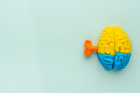 Mindfulness concept. Brain model with key as symbol of mental powerの写真素材