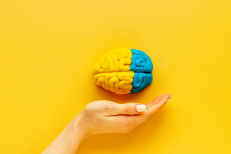 Idea concept. Use your brain. Model of clay in the hand, top view