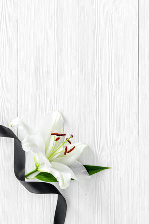 Funeral symbols. White lily with black ribbon, top viewの写真素材