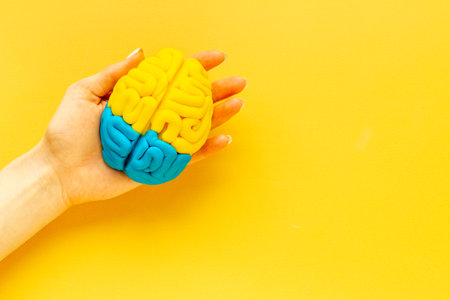 Idea concept. Use your brain. Model of clay in the hand, top viewの写真素材