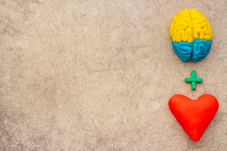Emotional intelligence concept with brain and heart, top viewの写真素材