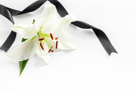 Funeral symbols - white lily flowers with black ribbonの写真素材