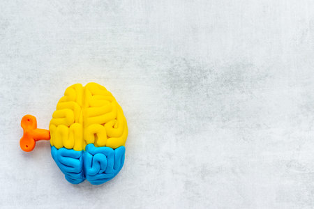 Ideas concept. Work of brain - model made of colorful clay, top viewの写真素材