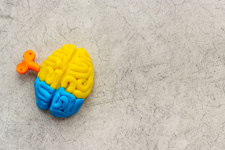 Brain charging and mental health concept. Model of human brain, top viewの写真素材