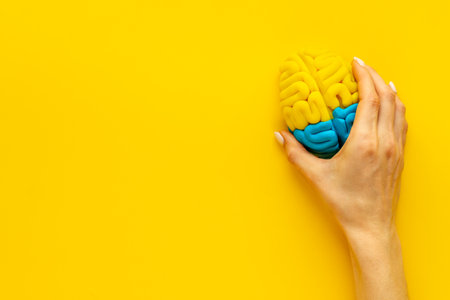 Idea concept. Use your brain. Model of clay in the hand, top viewの写真素材