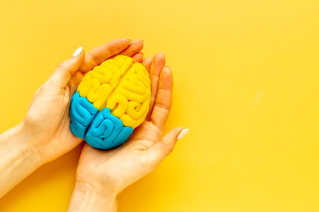 Mindfulness concept. Human brain model in hands, top viewの写真素材