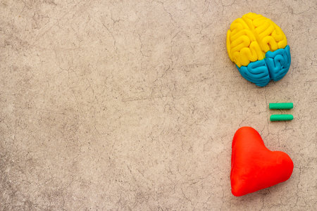 Emotional intelligence concept. Brain and heart made of clay, top view