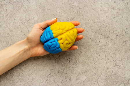 Idea concept. Use your brain. Model of clay in the hand, top view