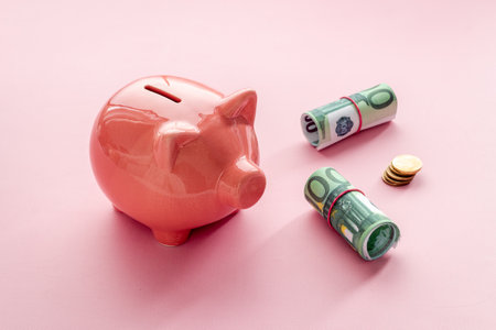 Investment concept. Piggy bank with money, close upの写真素材