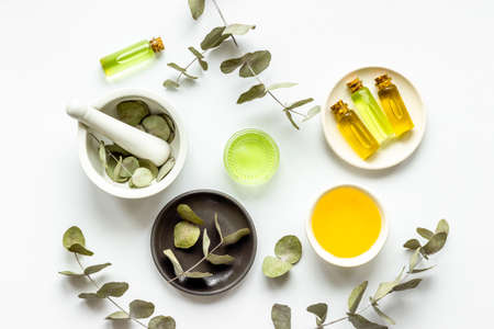 Herbal medicine and natural cosmetics. Eucalyptus leaves with white mortar, top viewの写真素材