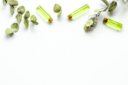 Essential eucalyptus oil in glass bottle. Herbs cosmetic and skincare product conceptの写真素材